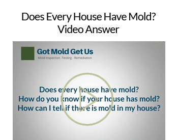 Does-Every-House-Have-Mold-Video