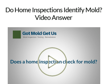 Does a home inspection check for mold?